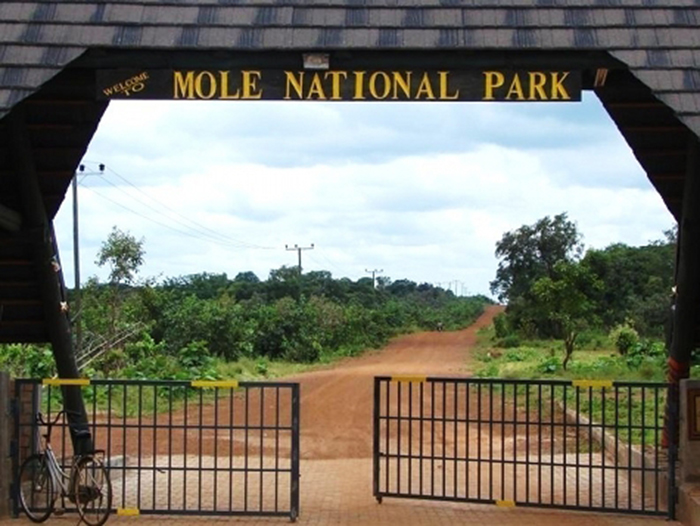 Mole National Park entrance gates